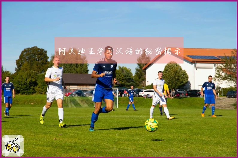 阿夫迪亚学习汉语的秘密揭示