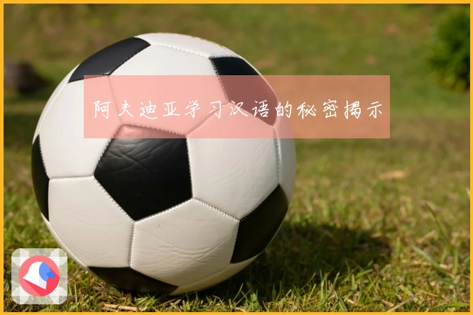 阿夫迪亚学习汉语的秘密揭示