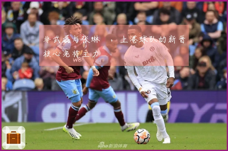 非武磊与张琳芃，上港球队的新晋核心老将主力