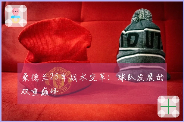 桑德兰25年战术变革：球队发展的双重巅峰